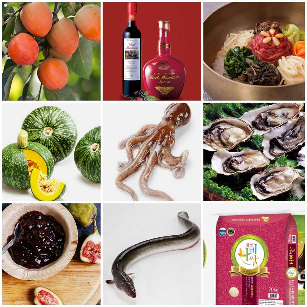 함평나비대축제