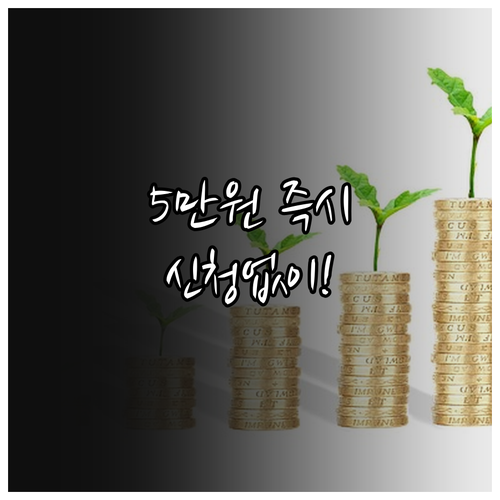신청없이 받는 2025 성북구 명절 ..