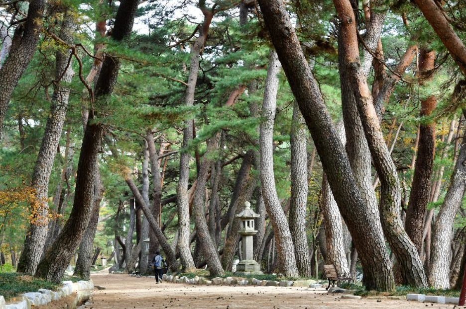 통도사 바로 옆 숲 이미지 - 산책코스