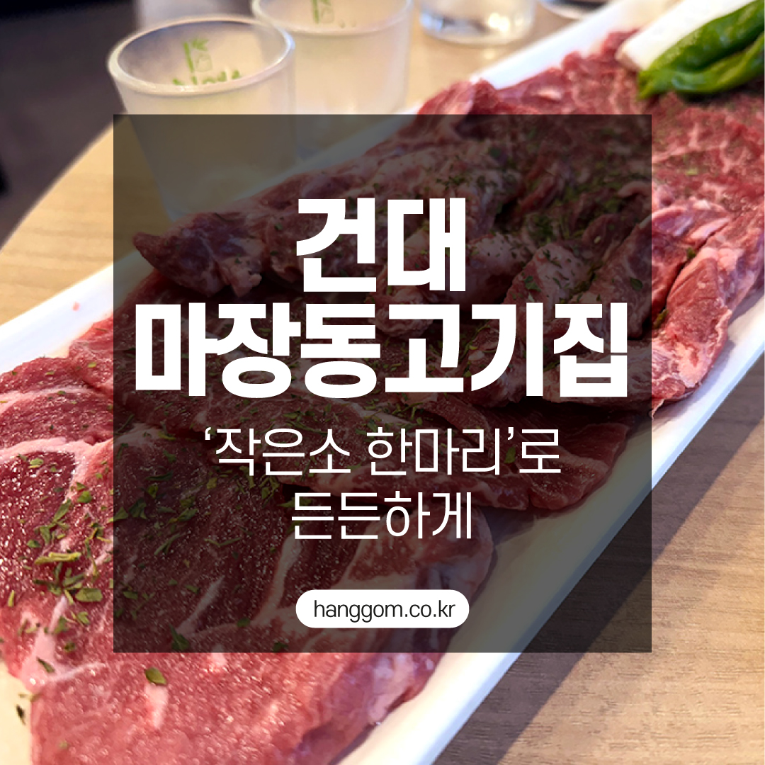 건대 마장동고기집 방문기