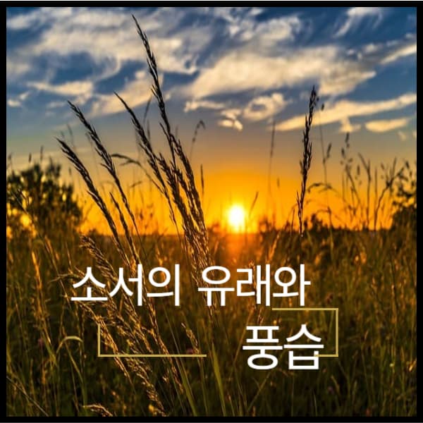 여름날-석양