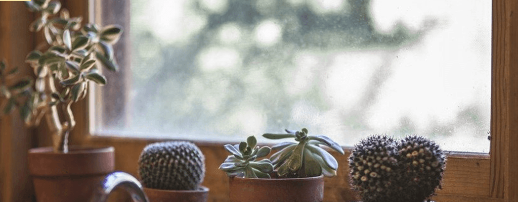 방충망 청소 예시