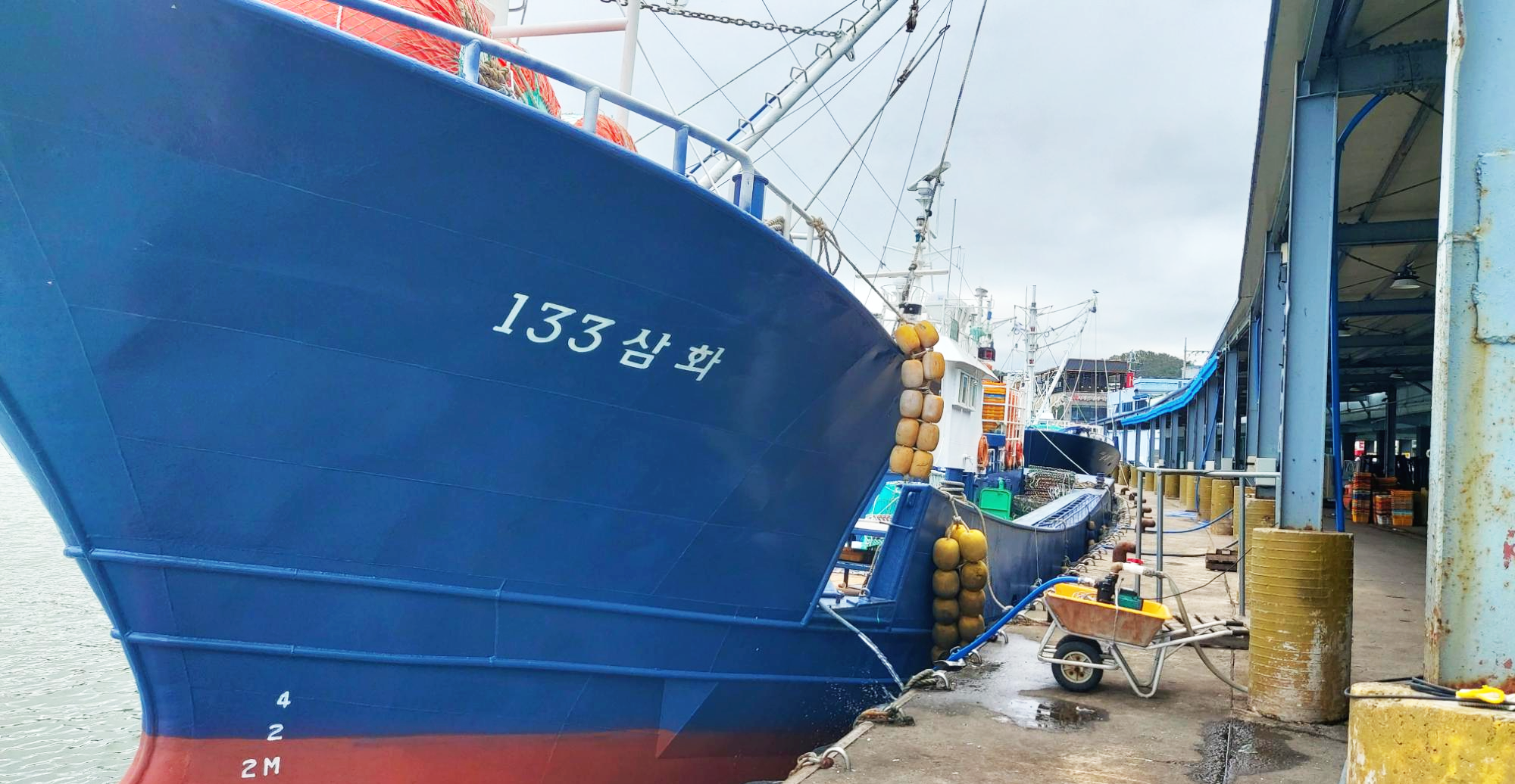 경북 영덕군 수협 공판장