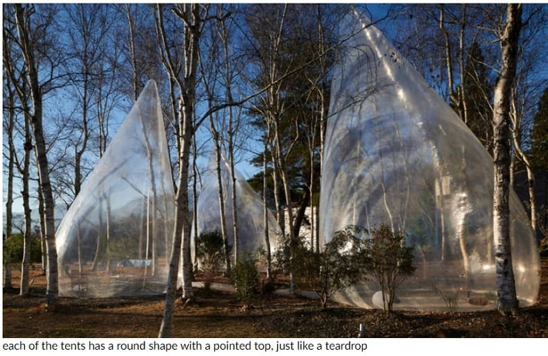 투명한 눈물방울 모양의 텐트 Yuko nagayama's transparent teardrop-shaped tents dot a tranquil forest in japan