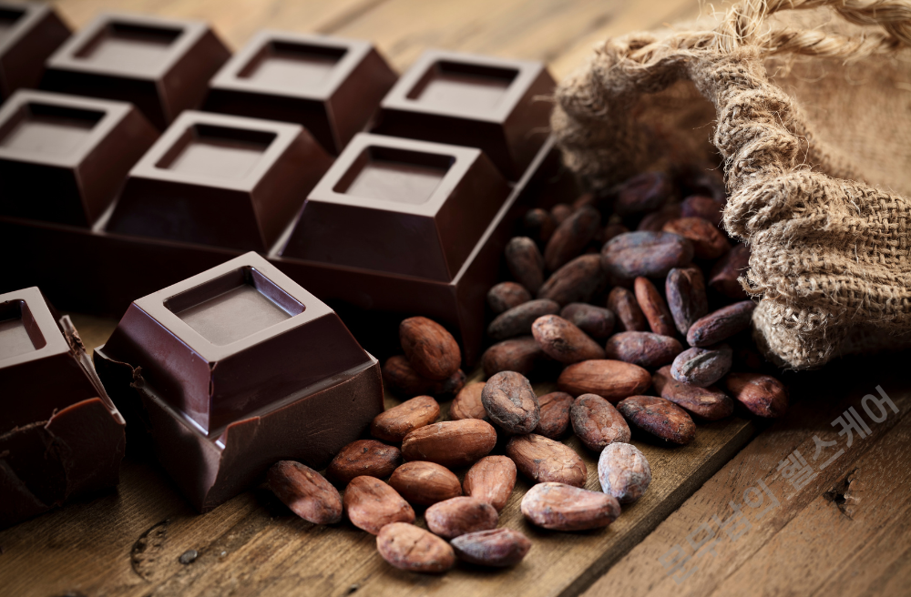 키토제닉 식단 음식