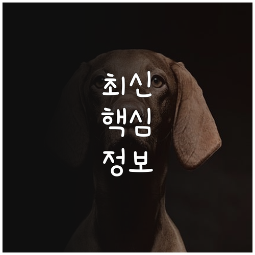 2025 학교폭력 피해 무료 법률지원..