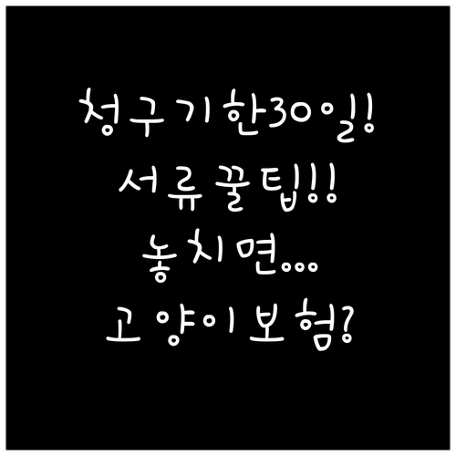 고양이 보험 청구 기한 30일 서류 ..