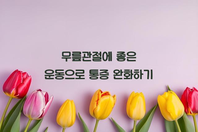 무릎관절에 좋은 운동