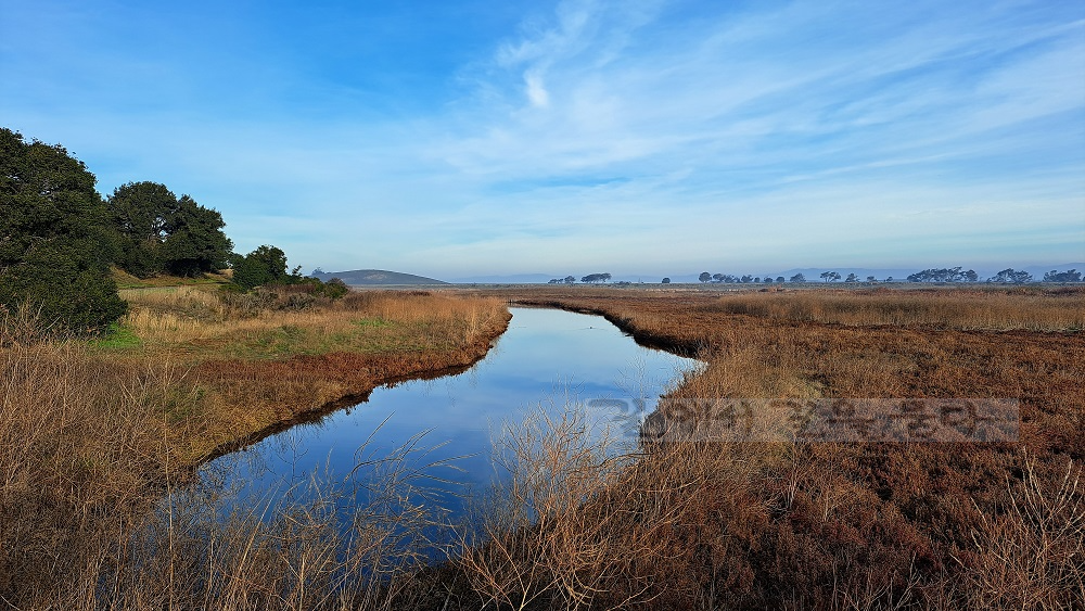 Coyote Hills Regional Park