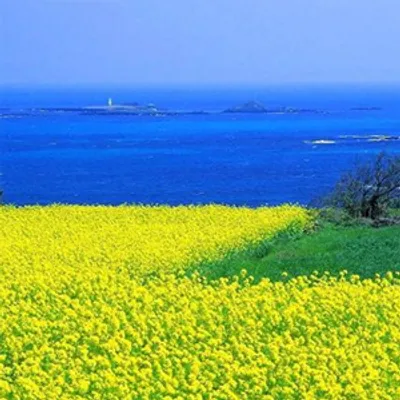 실시간 제주도 제주날씨 주간예보로_8