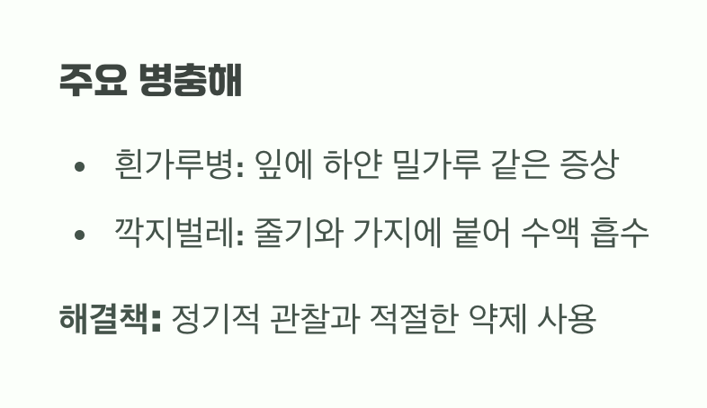 이유 5: 혹시 병들지는 않았을까요?