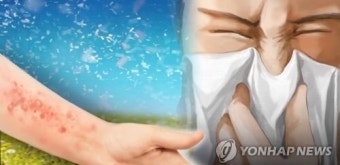 알레르기 질환 관리