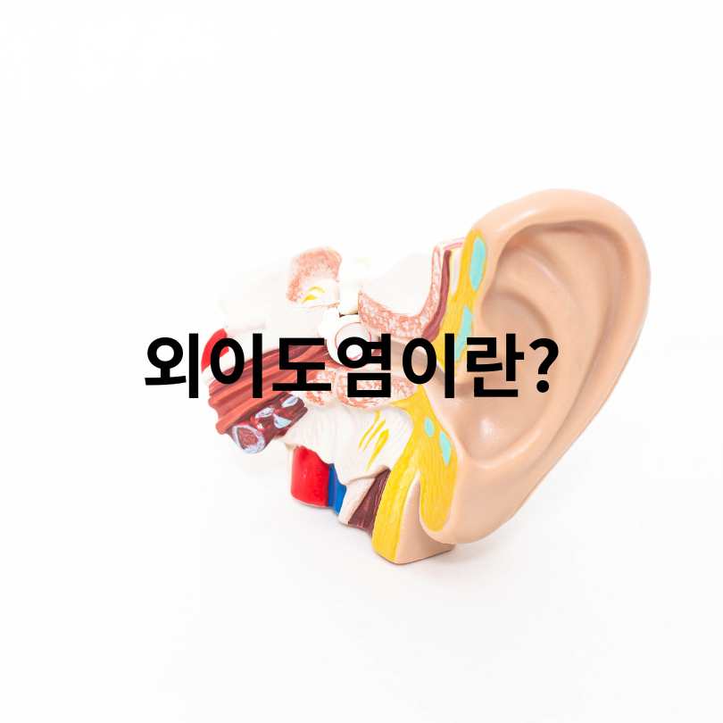 여름철 질병 외이도염 연고 효과