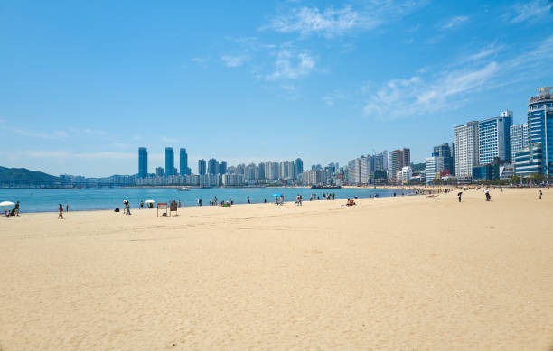 부산 광안리 해수욕장 개장 및 편의시설 정보
