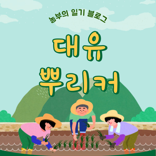 대유 뿌리커
