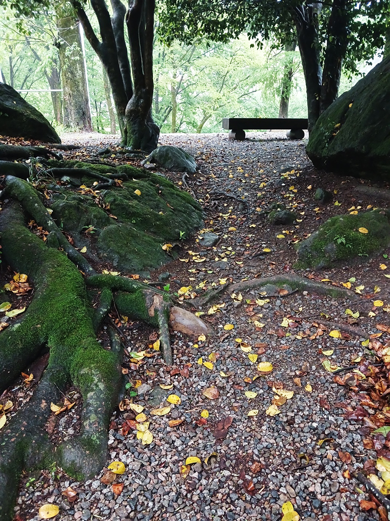 경남 쌍계사 템플스테이 신청 방법