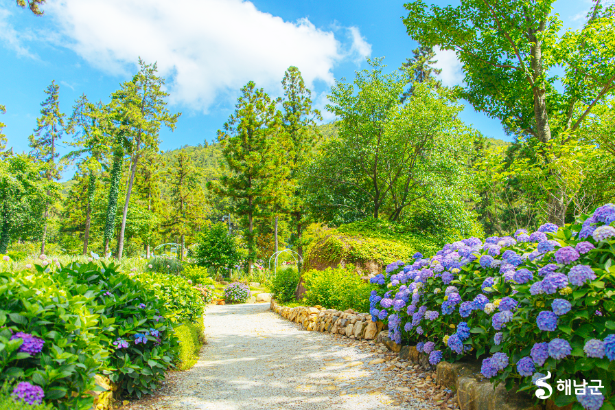 해남 4est수목원 수국축제