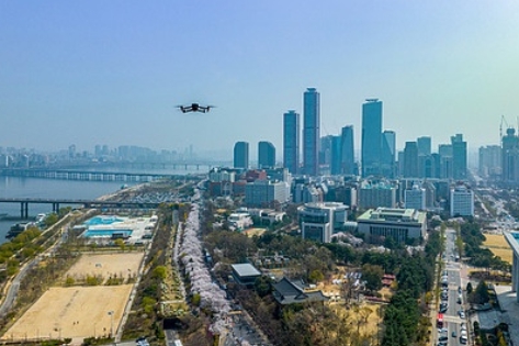 여의도 벚꽃축제 일정
