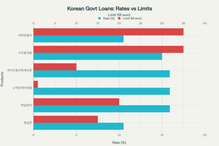 2025년 - 신용불량자 대출