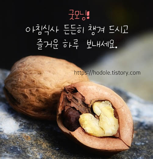 아침식사챙겨
