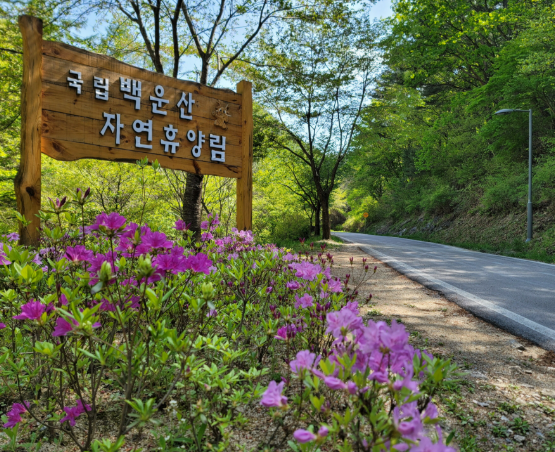 백운산 자연휴양림
