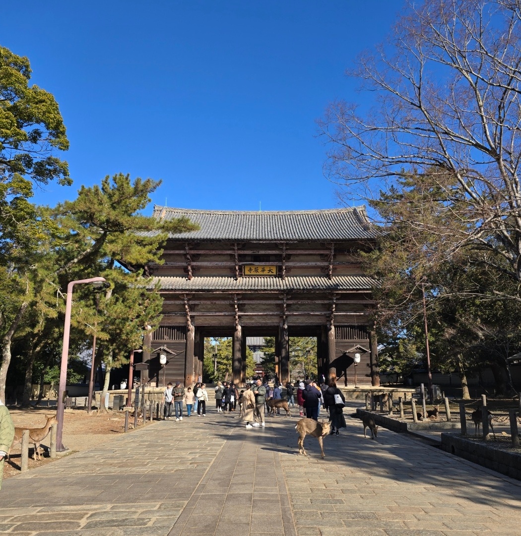 동대사 입구와 사슴들 모습 이미지