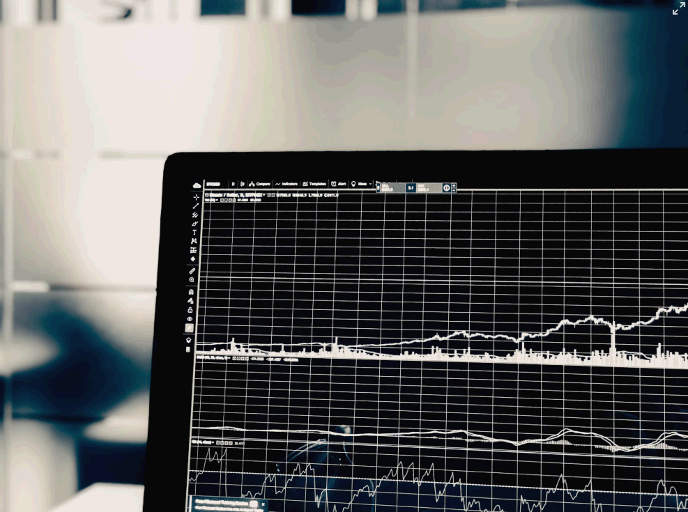 [주식기초] 주식이란 무엇인가? 주식의 본질 이해하기