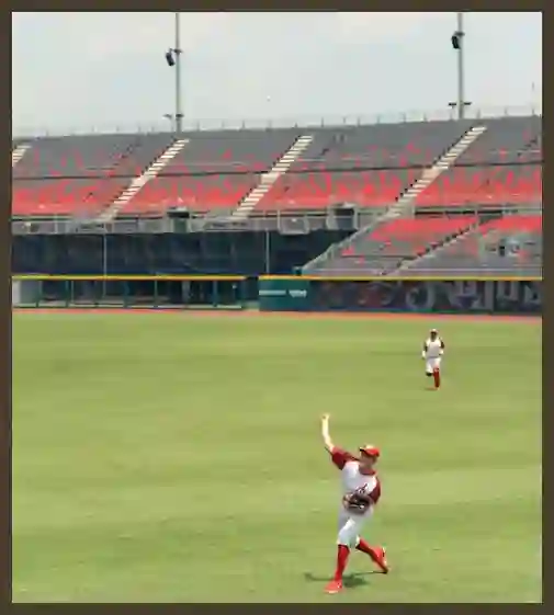 프로야구 fa 뜻, 자격 조건 등급과 보상