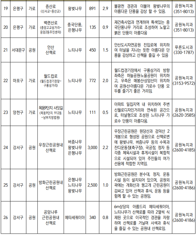 서울 단풍길 99선 소개