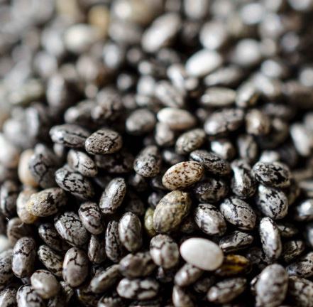 치아씨드-하루-섭취량