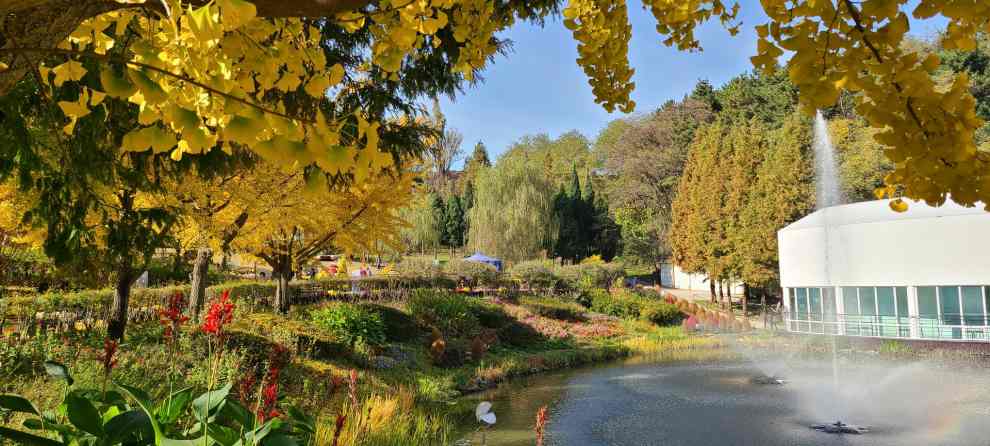 피나클랜드 튤립 수선화 축제