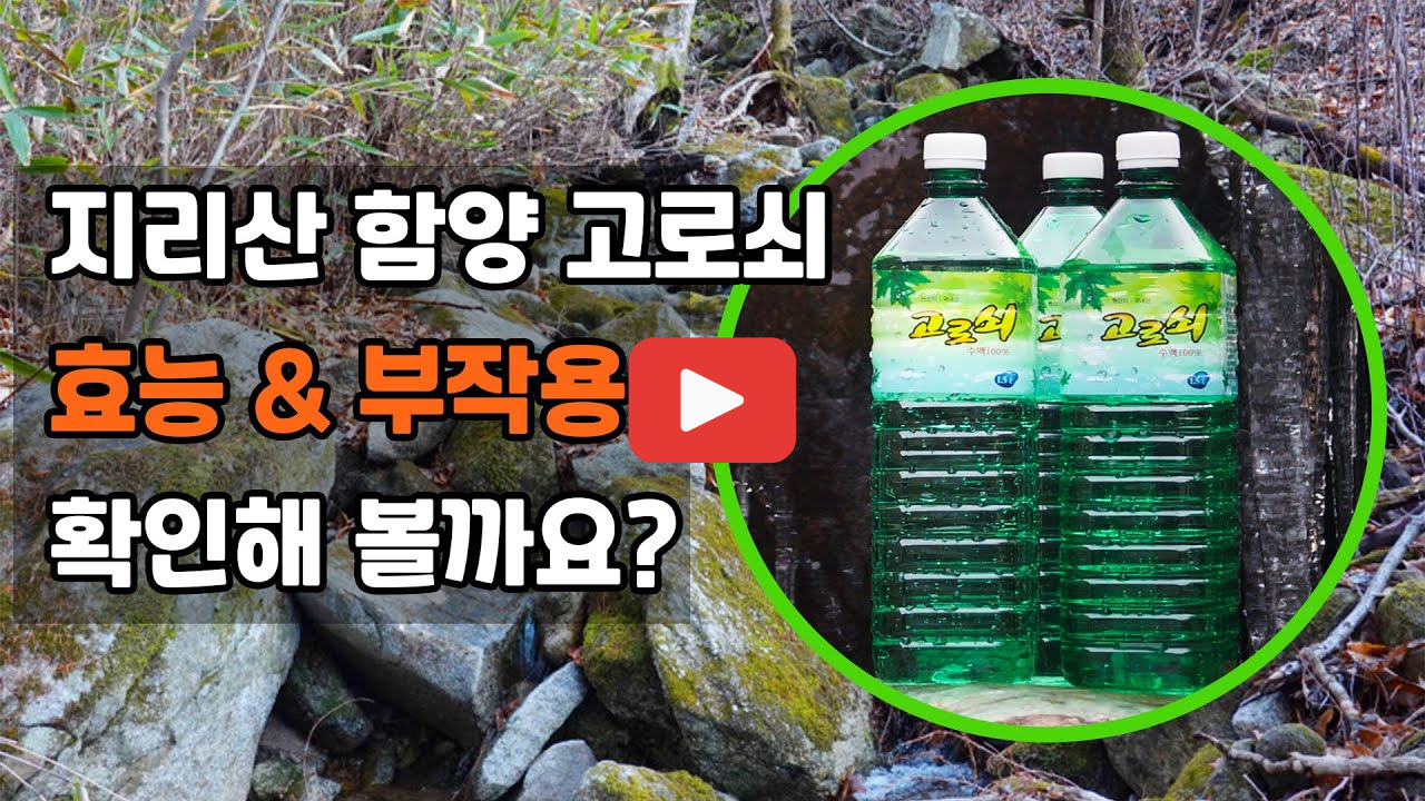 고로쇠물 효능 부작용