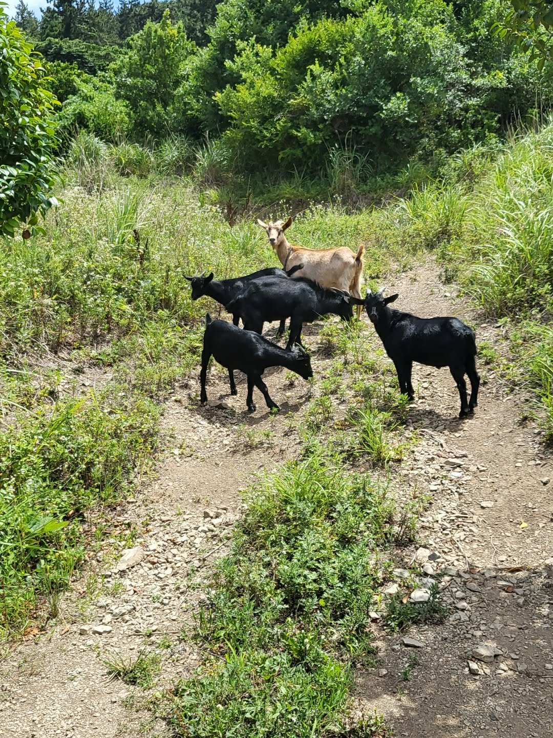 15.신혼여행