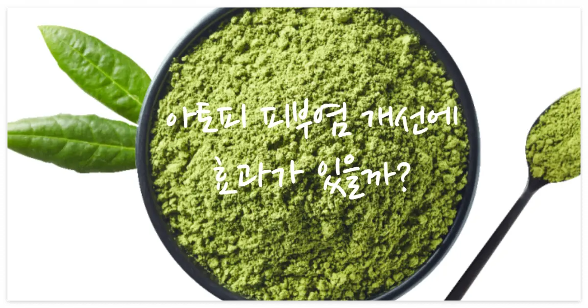 아토피 피부염 효과