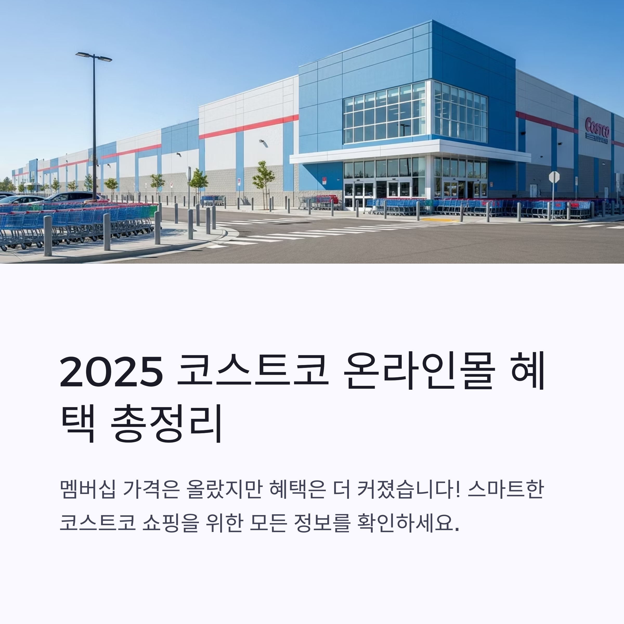 2025년 코스트코 온라인몰 할인 혜택 멤버십 가입부터 배송 꿀팁까지 총정리