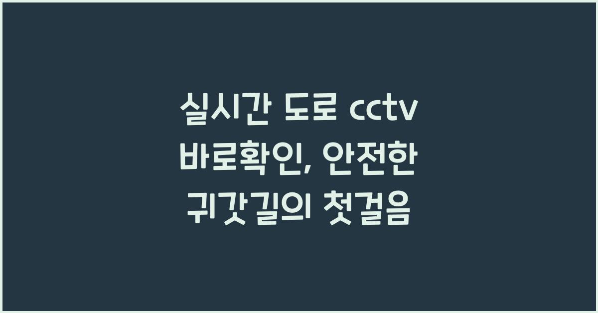 실시간 도로 cctv 바로확인