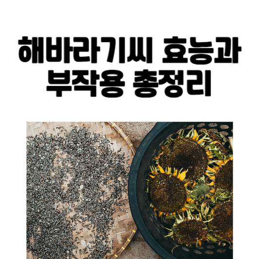 해바라기씨 효능과 부작용