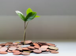 연금저축 세액공제 기부금 세액공제 결혼 세액공제