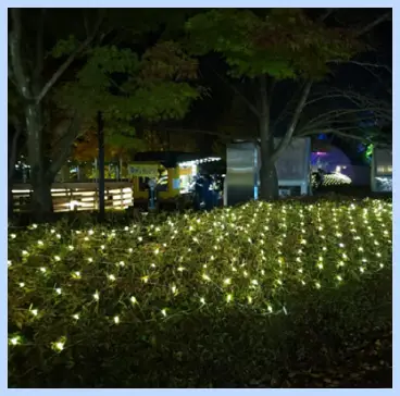 핵심 볼거리