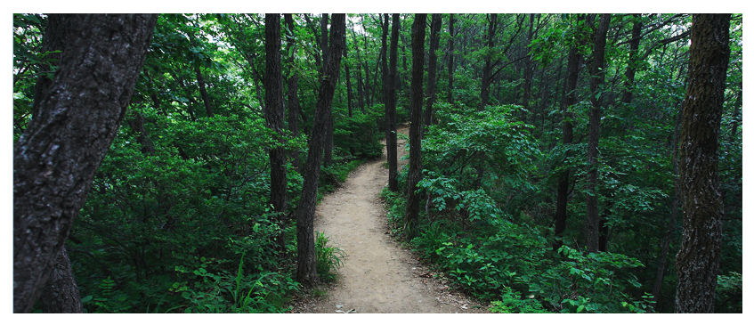 칠갑산 등산 코스 추천, 지도, 주차장 등 3분 정리