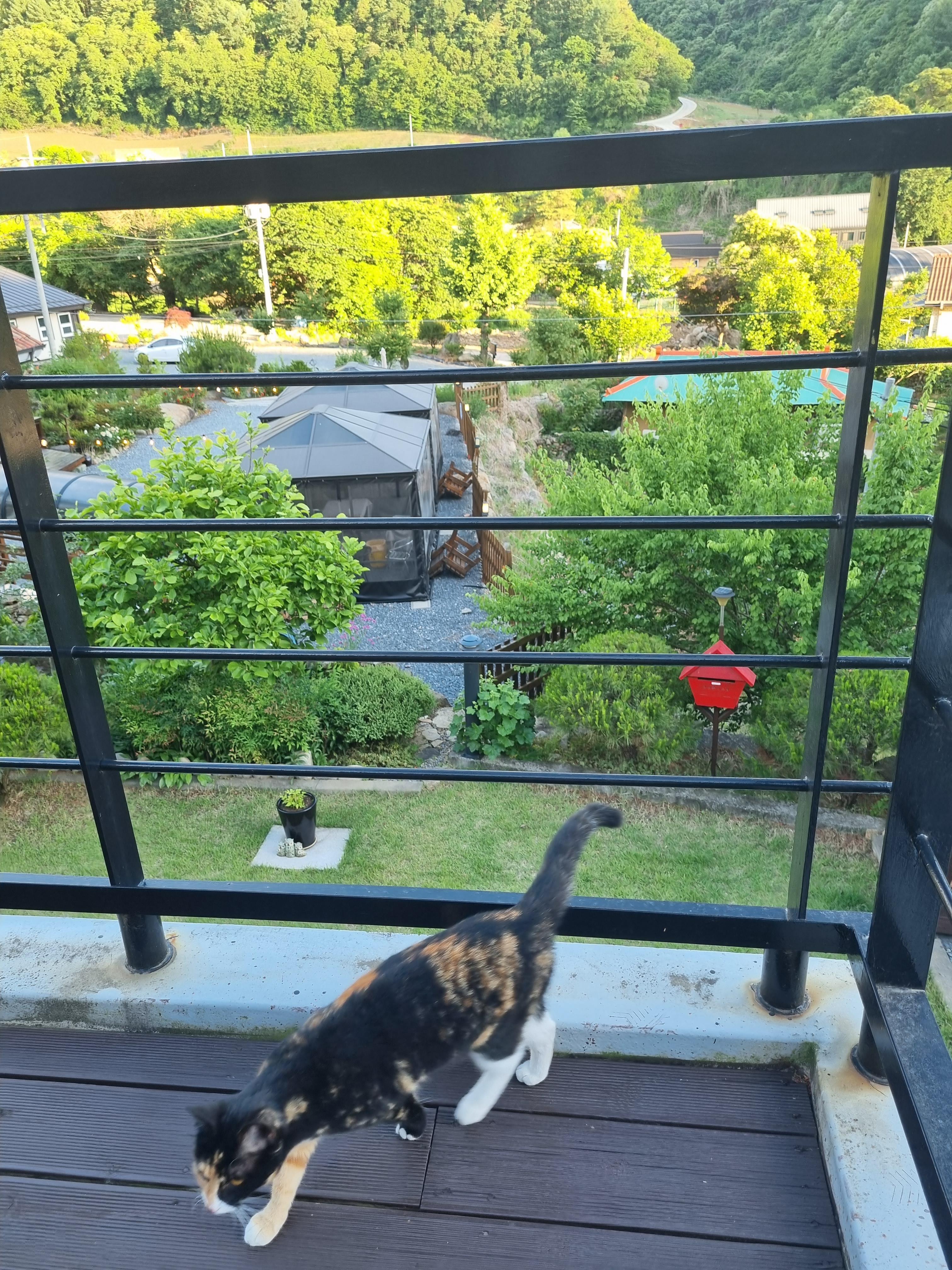 단양-미드하우스-펜션-테라스-2