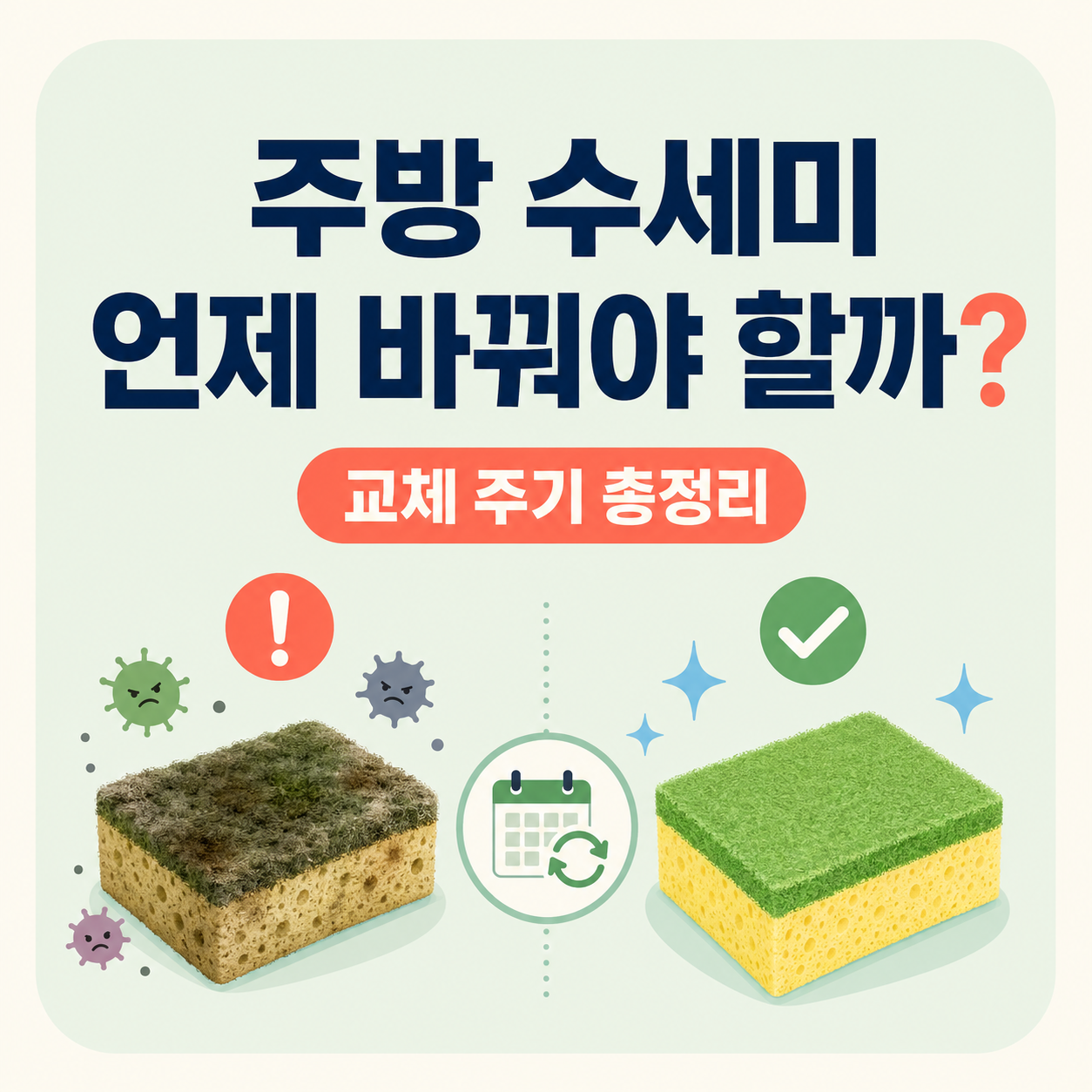 주방 수세미 교체 주기 총정리! 변기보다 더러워지기 전에 바꾸는 법
