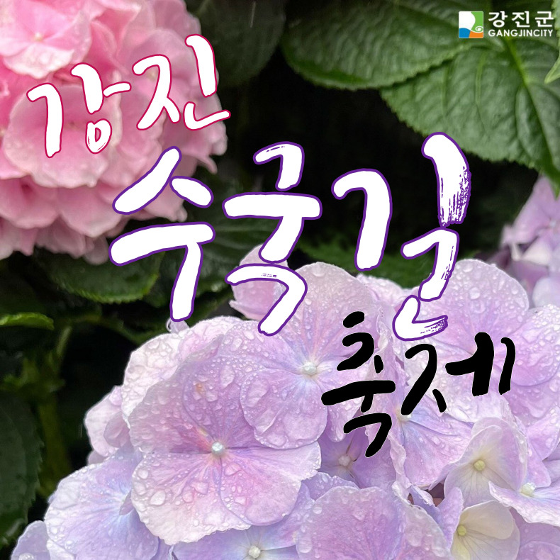강진 수국축제