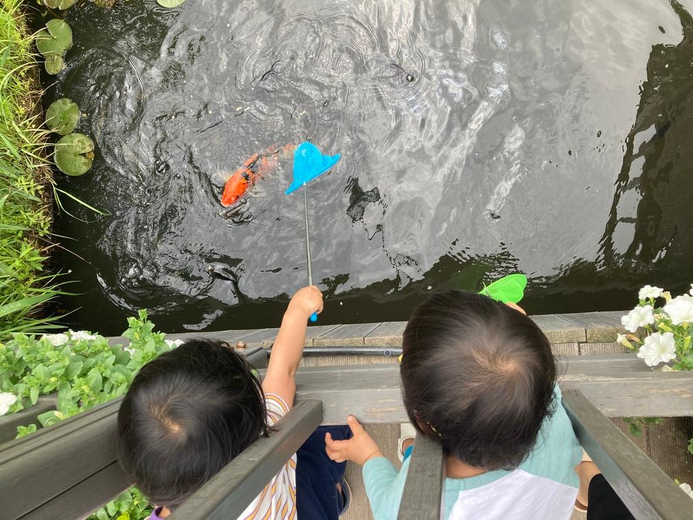 용산가족공원 잉어잡기