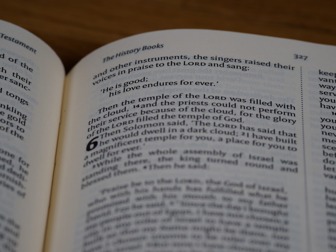 '신용사면'의 영어 번역인 'credit rehabilitation'을 추천합니다.