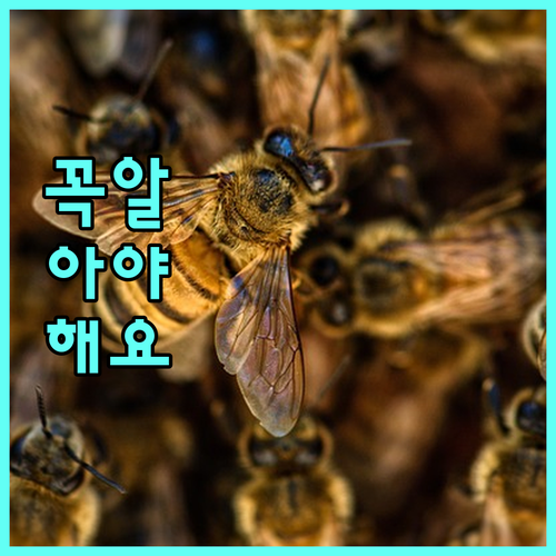 피부과 리프팅 시술, 효과 오래 유지