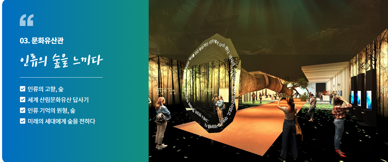 강원세계산림엑스포 축제 프로그램들