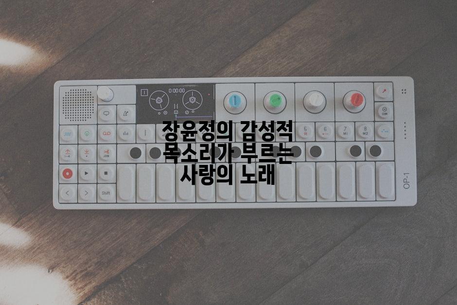 장윤정의 감성적 목소리가 부르는 사랑의 노래