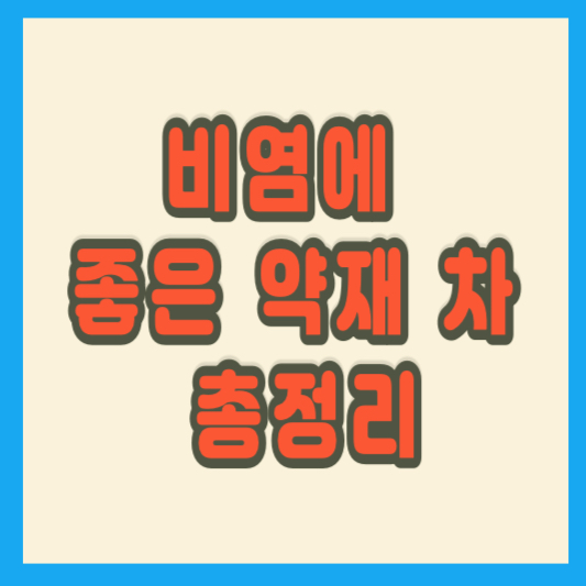 비염에 좋은 약재 차 총정리