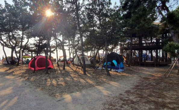 을왕리해수욕장텐트